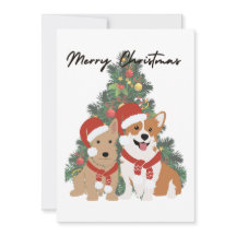 Weihnachtsjunge - Corgi und Terrier - Urlaubskarte