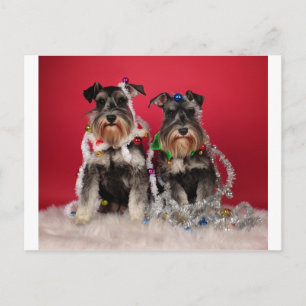 Weihnachtsjunge Feiertagspostkarte