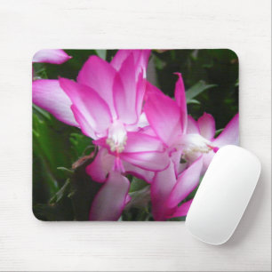 Weihnachtskaktus Blume Mousepad
