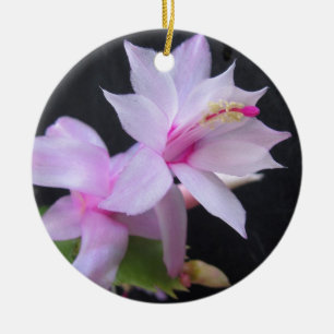 Weihnachtskaktus, Fotografie Keramik Ornament