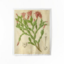 Weihnachtskaktus-Tapisserie