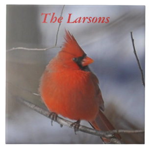 WeihnachtsKardinal Fliese