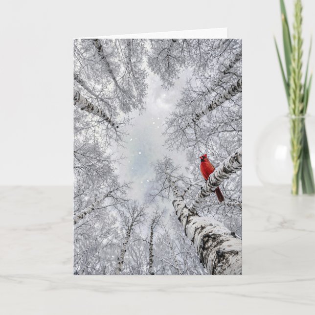 Weihnachtskardinal in einem winterlichen weißen Bi Karte (Vorderseite)