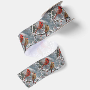 Weihnachtskardinäle auf einem Winterbaumzweig Satinband