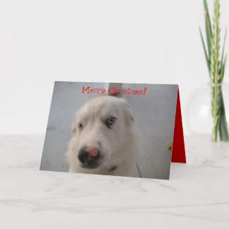 Weihnachtskarte 07 feiertagskarte