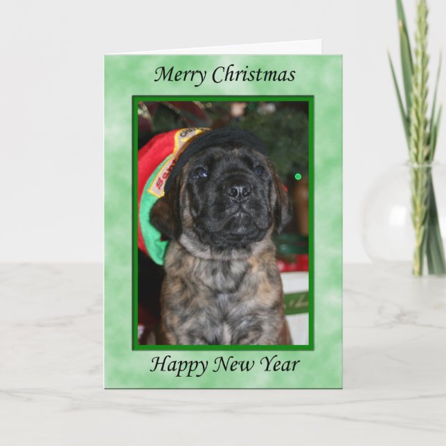 Weihnachtskarte 1 feiertagskarte (Vorderseite)