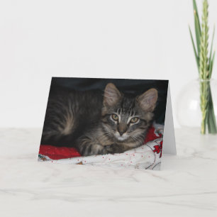 Weihnachtskarte am Kaspischen Meer Feiertagskarte