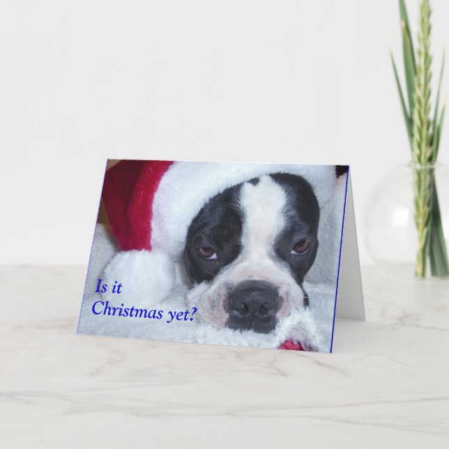 Weihnachtskarte Bostons Terrier Feiertagskarte (Vorderseite)
