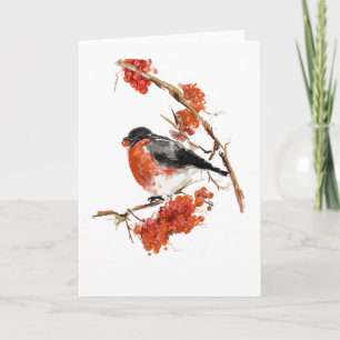 Weihnachtskarte - Bullfinch Feiertagskarte