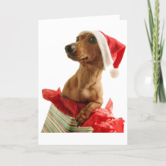 Weihnachtskarte Dackel Feiertagskarte