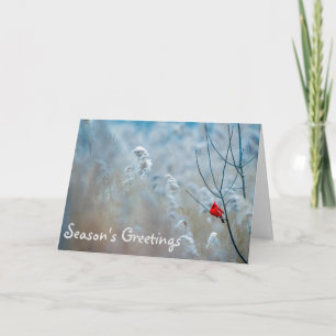 Weihnachtskarte der Kardinal-Saison Karte