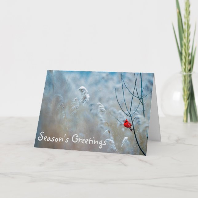Weihnachtskarte der Kardinal-Saison Karte (Vorderseite)