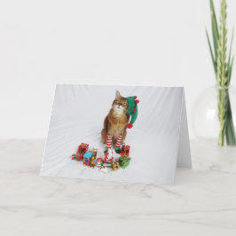 Weihnachtskarte des Weihnachtsmanns mit Sommer Karte
