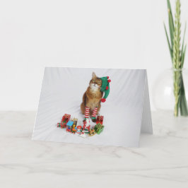 Weihnachtskarte des Weihnachtsmanns mit Sommer Karte