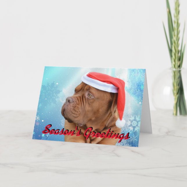 Weihnachtskarte Dogue de Bordeaux Feiertagskarte (Vorderseite)