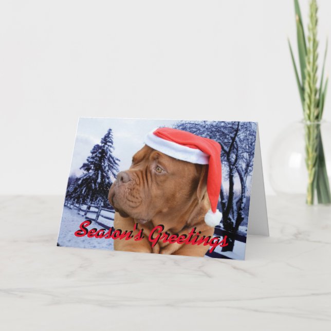 Weihnachtskarte Dogue de Bordeaux Feiertagskarte (Vorderseite)