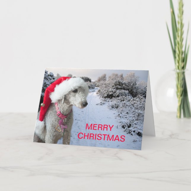 Weihnachtskarte Feiertagskarte (Vorderseite)