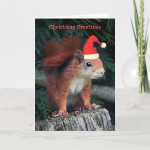 Weihnachtskarte Feiertagskarte