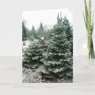 Weihnachtskarte Feiertagskarte