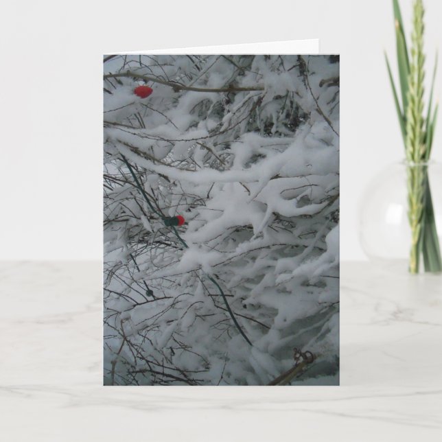 Weihnachtskarte "Festively Fluffed" Karte (Vorderseite)