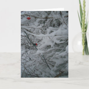 Weihnachtskarte "Festively Fluffed" Karte