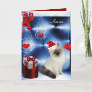 Weihnachtskarte Fluffige Weiße Graue Katze Feiertagskarte