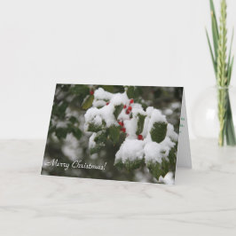 Weihnachtskarte, Fotografie von Holly mit Schnee Feiertagskarte