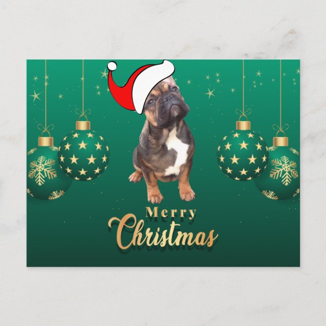 Weihnachtskarte französische Bulldoggen Christmas  Postkarte (Vorderseite)