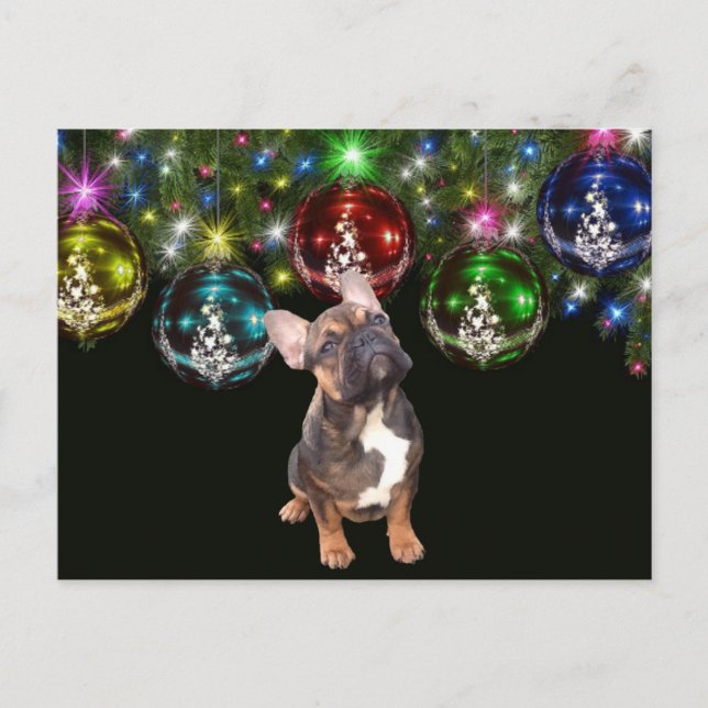 Weihnachtskarte französische Bulldoggen Christmas  Postkarte (Vorderseite)