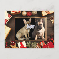 Weihnachtskarte französische Bulldoggen Christmas