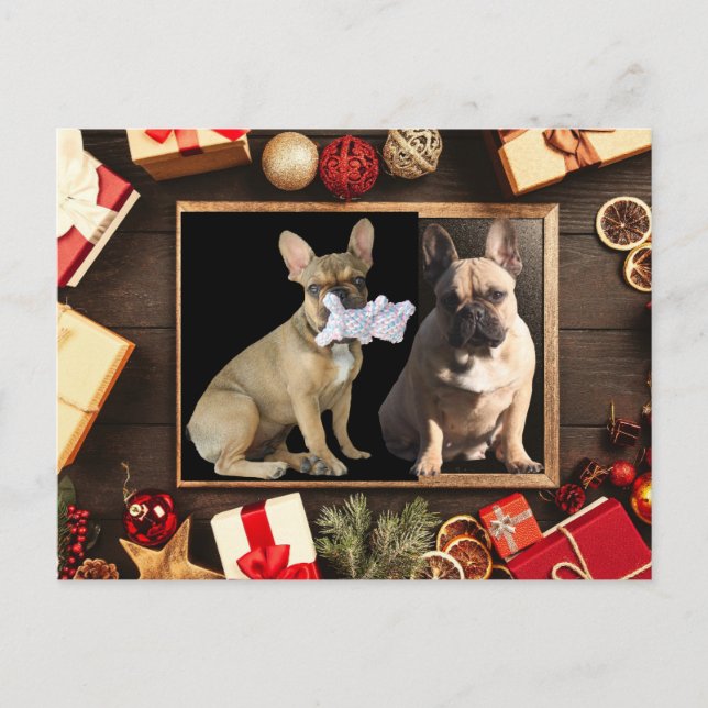 Weihnachtskarte französische Bulldoggen Christmas Postkarte (Vorderseite)