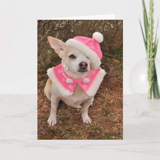 Weihnachtskarte Frau-Klaus Feiertagskarte (Vorderseite)