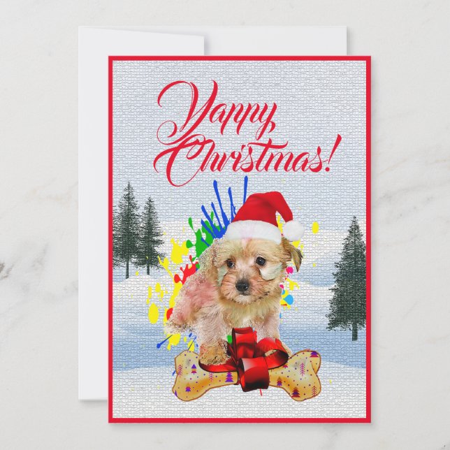 Weihnachtskarte "Funny Morkie Dog" Ankündigung (Vorderseite)