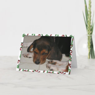 Weihnachtskarte für Beagle (Sleepy) Feiertagskarte