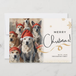 Weihnachtskarte für Hunde Feiertagskarte