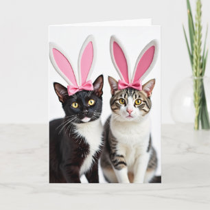 Weihnachtskarte für Katzenfreunde Karte