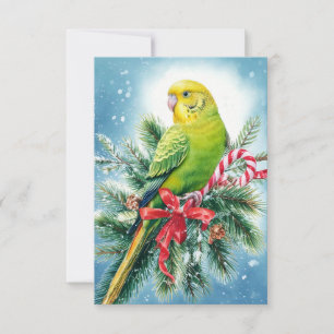 Weihnachtskarte für Parakeet und Candy Cane Dankeskarte