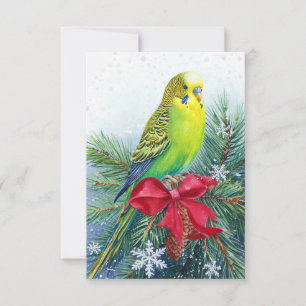 Weihnachtskarte für Parakeet und Weihnachtsbäume Dankeskarte