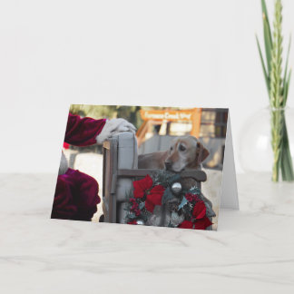 Weihnachtskarte: Heiligabend im Todetal Feiertagskarte