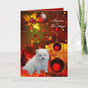 Weihnachtskarte Hund Welpe Pomeranian Feiertagskarte