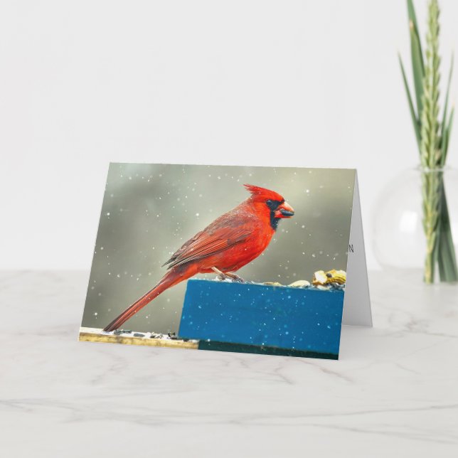 Weihnachtskarte Kardinal Feiertagskarte (Vorderseite)