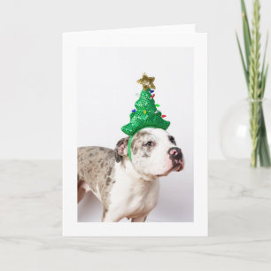 Weihnachtskarte Karte