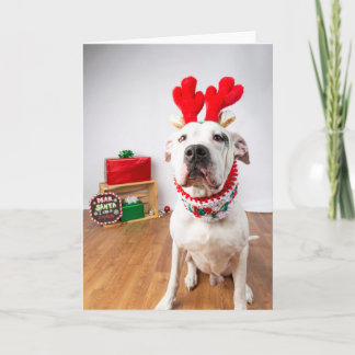 Weihnachtskarte Karte