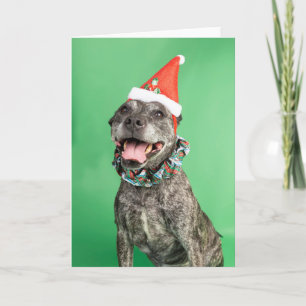 Weihnachtskarte Karte