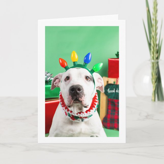 Weihnachtskarte Karte (Vorderseite)