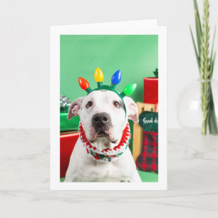 Weihnachtskarte Karte