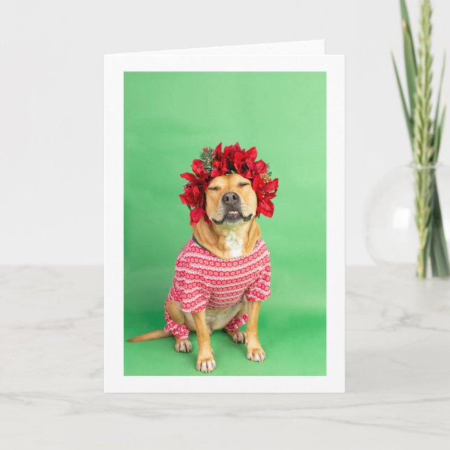 Weihnachtskarte Karte (Vorderseite)