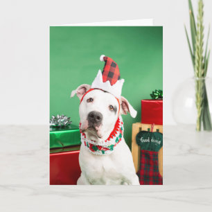 Weihnachtskarte Karte