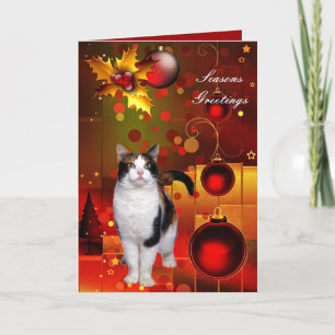 Weihnachtskarte Katze Feiertagskarte