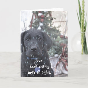 Weihnachtskarte ~Labrador Puppy Feiertagskarte